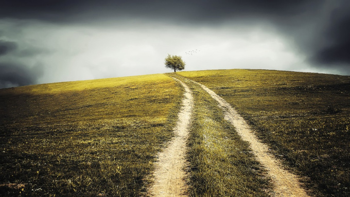 Фото: pxhere.com