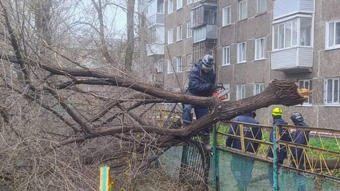 Фото: barnaul.org