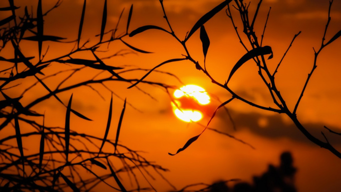 Фото: pxhere.com