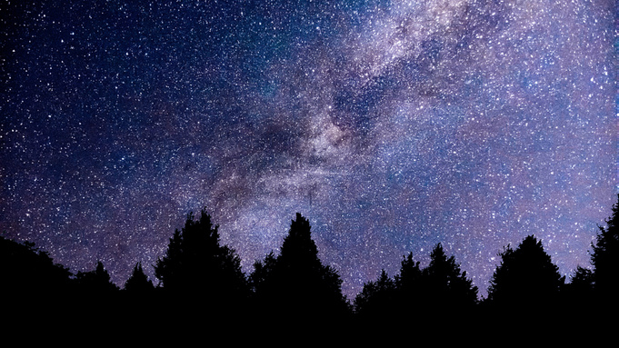 Фото: pixabay.com