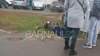 Фото: Barnaul 22