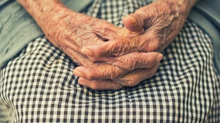 Фото: unsplash.com