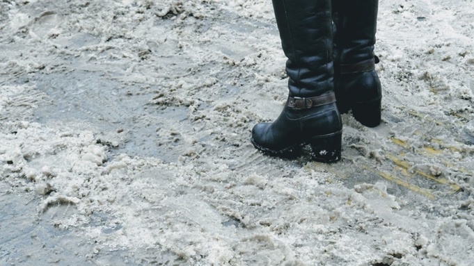 Фото: Екатерина Смолихина / amic.ru