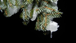 Фото: pxhere.com