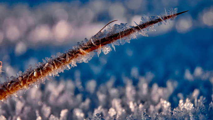 Фото: pxhere.com