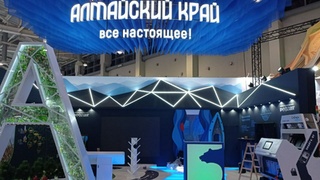 Дизайн экспозиции / Фото: Минэкономразвития Алтайского края