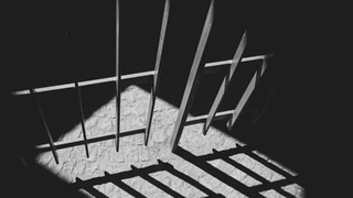 Фото: unsplash.com