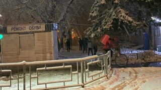 Фото: Barnaul 22