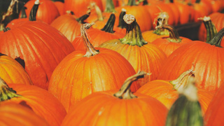 Фото: pxhere.com