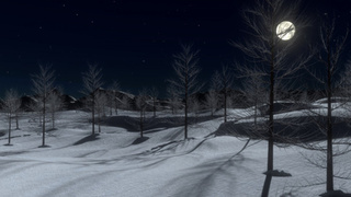 Фото: pxhere.com