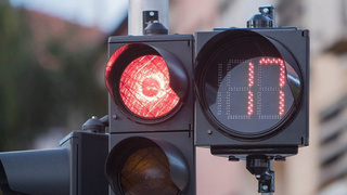 Фото: пресс-центр мэрии Барнаула