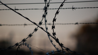 Фото: pxhere.com