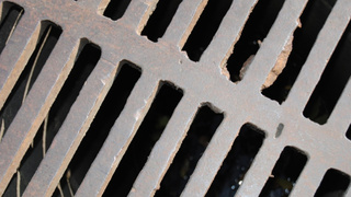 Фото: pxhere.com