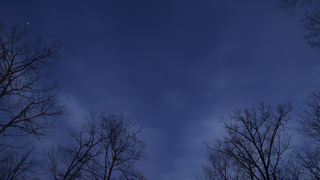 Фото: pxhere.com