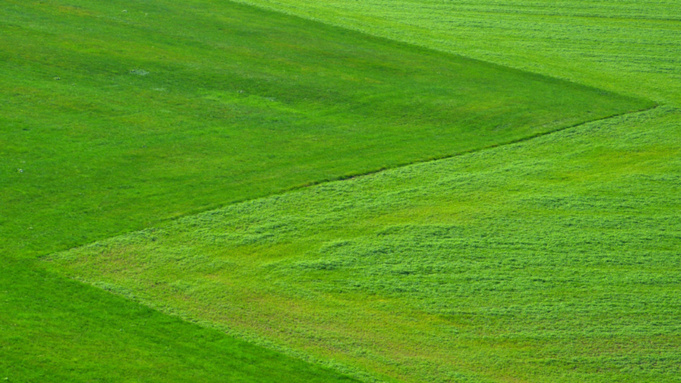 Фото: pxhere.com