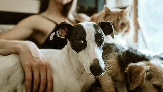 Фото: unsplash.com