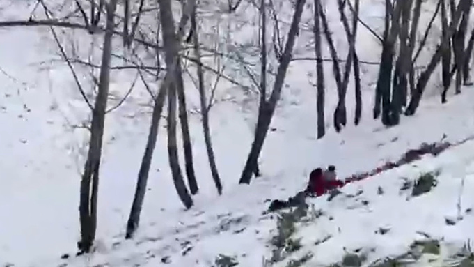 Фото: pxhere.com