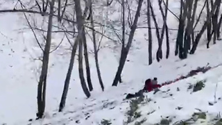 Фото: pxhere.com