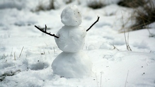 Фото: unsplash.com