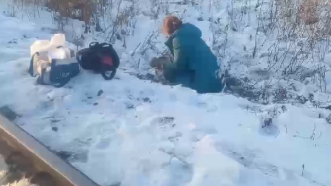 Кадр: соцстеи