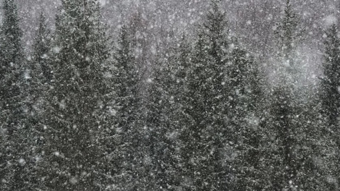 Фото: unsplash.com