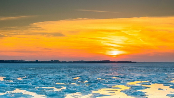 Фото: unsplash.com