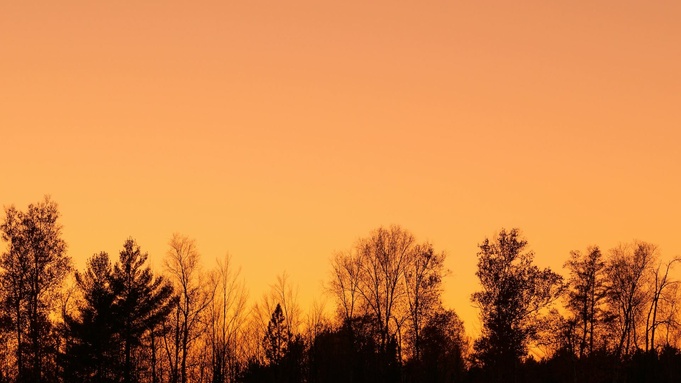 Фото: unsplash.com