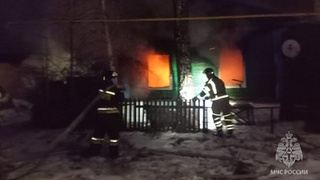 Фото: МЧС Алтайского края