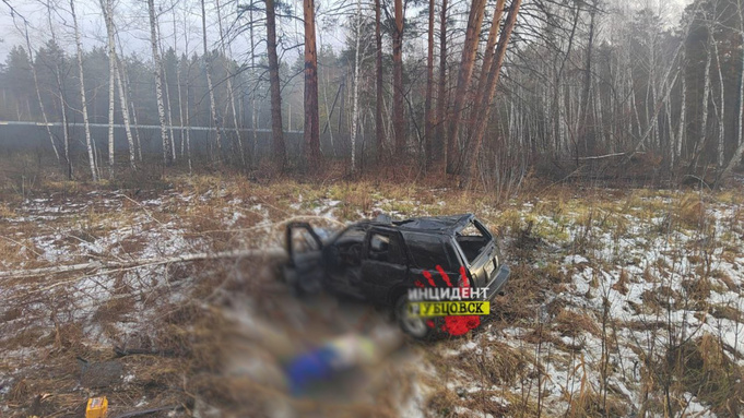 Фото: "Инцидент Рубцовск"