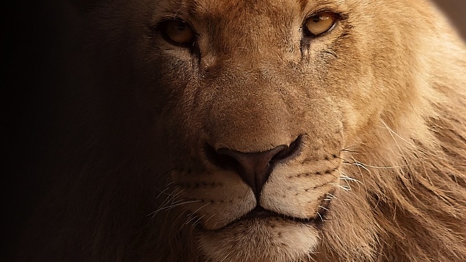 Фото: pxhere.com