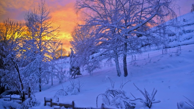 Фото: pxhere.com