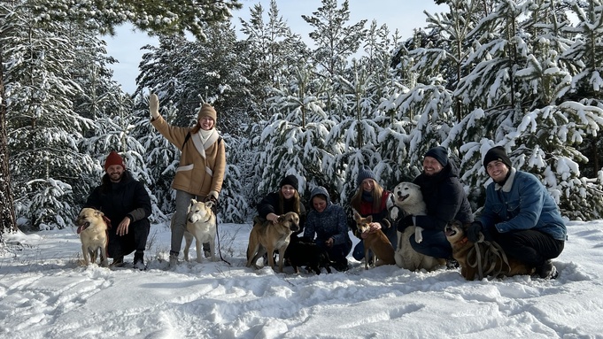 Сотрудники стоматологической клиники с собаками из приюта "Бусинка" / Фото "Актика"