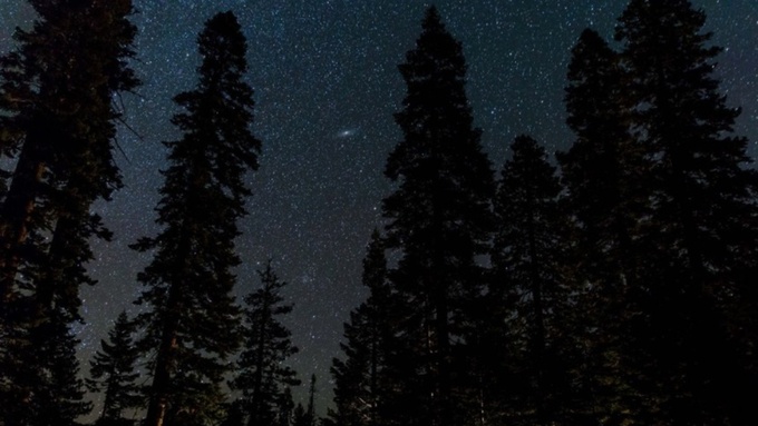 Фото: pxhere.com