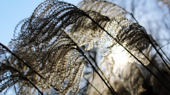 Фото: pxhere.com