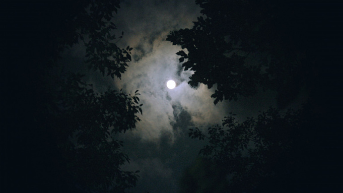 Фото: pxhere.com