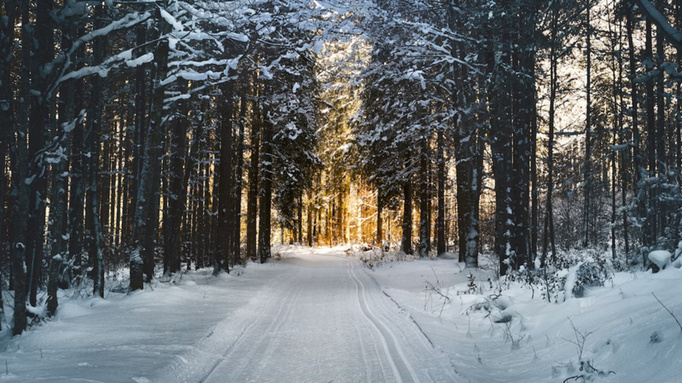 Фото: unsplash.com