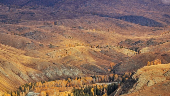 Фото: unsplash.com