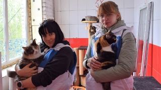 Волонтеры "Росводоканал Барнаул" / Фото предоставлено организацией