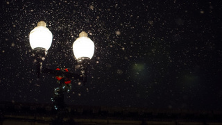 Фото: pxhere.com