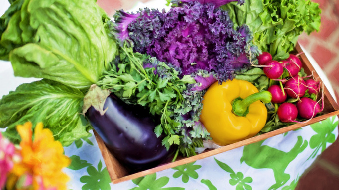 Фото: pxhere.com