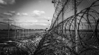 Фото: pxhere.com