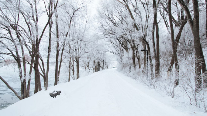 Фото: unsplash.com