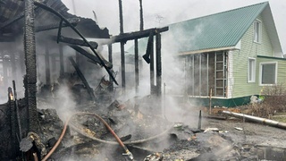 Фото: МЧС Алтайского края