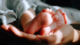 Фото: unsplash.com