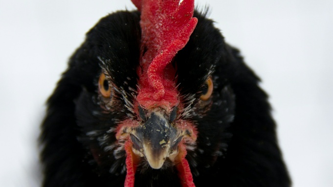 Фото: unsplash.com