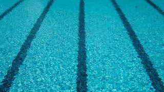 Фото: unsplash.com