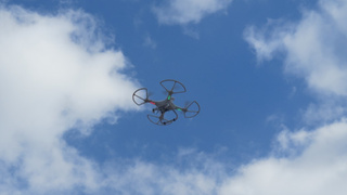 Фото: pxhere.com