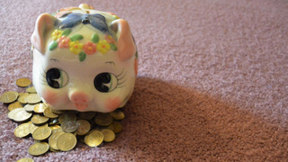 Фото: pxhere.com