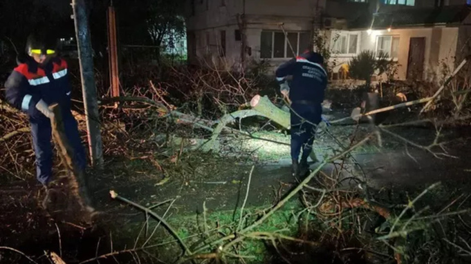 Фото: unsplash.com