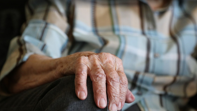 Фото: pxhere.com